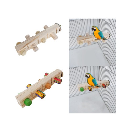 Parrot chewing bird toy play - chewing,