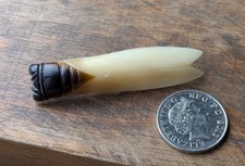 Cicada Insect French Style