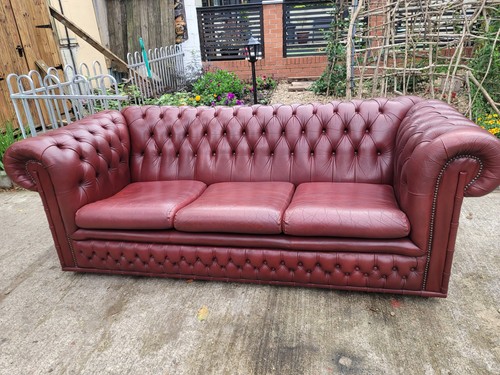 Chesterfield sofa oxblood red - sofa,