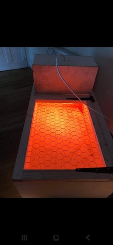 Large chick brooder cage - cage, box