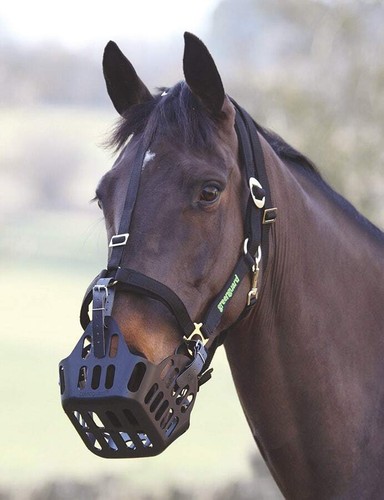 Greenguard grazing muzzle full - grazing,
