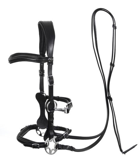 Calli star bitless bridle - star,