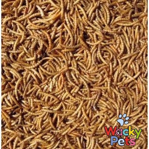 Dried mealworms premium - dried,