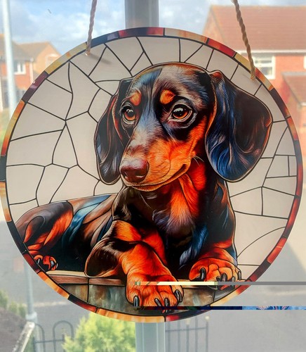 Miniature dachshund sun - miniature,
