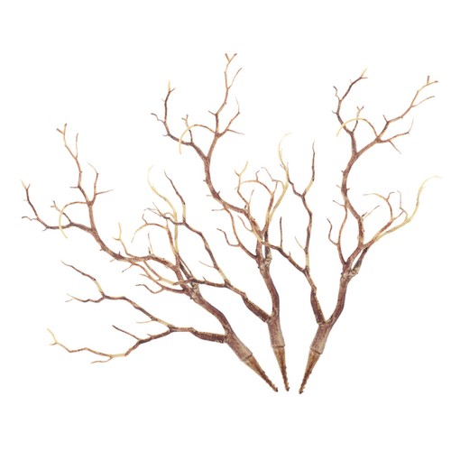 3pcs dry branches stems - dry, twigs