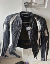 Arlen Ness motorcycle