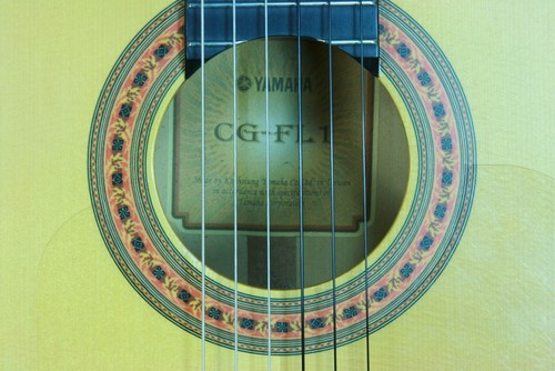 Yamaha fl1 - yamaha, (2006)
