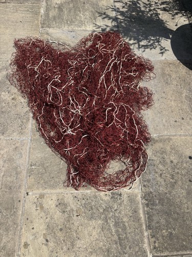 Vintage nylon rabbit long net - long,