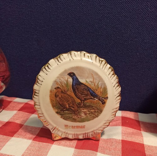 Bone china decorative - china,