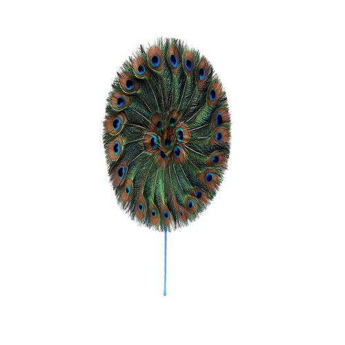 Peacock feather fan