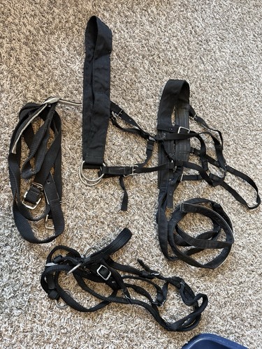 Pony driving harness black - driving,