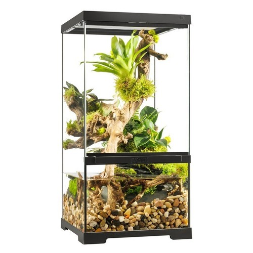Exo terra pro - pro, paludarium