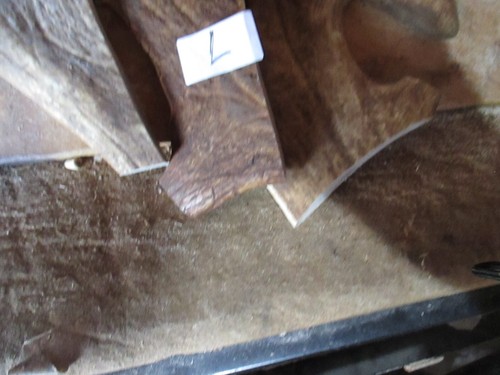 Fallow deer anter chews - ,