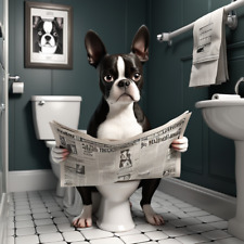 Boston Terrier  on Toilet