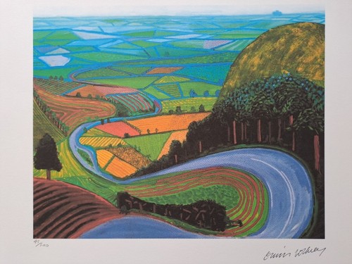 David hockney signed - david,