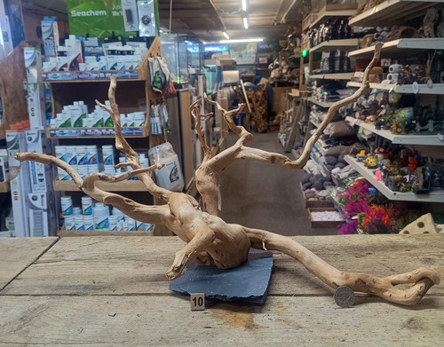 Red moor wood root slate - wood,