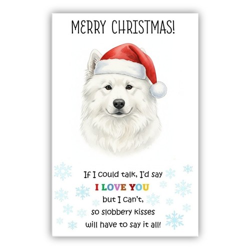 Samoyed christmas card dog - samoyed,