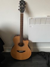 APX600M Electro Acoustic