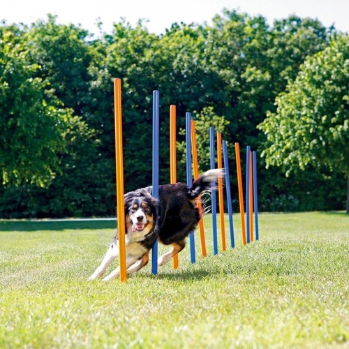 Pursuits pet dog agility - pursuits,