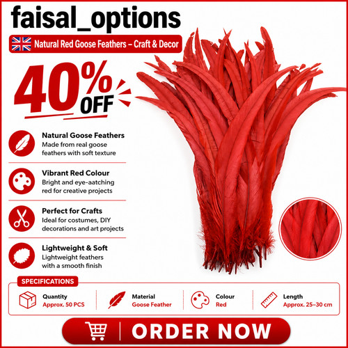 Long rooster tail - rooster,