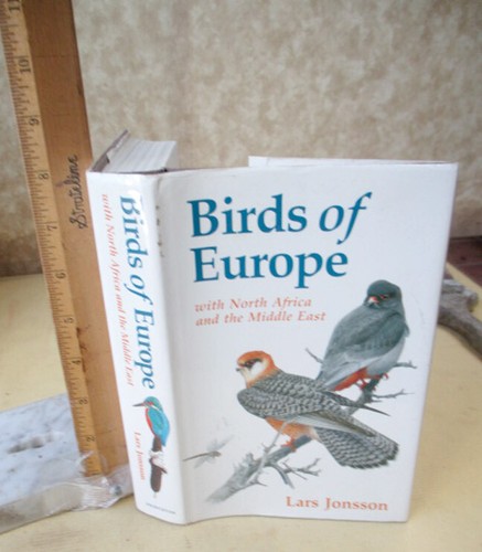 Birds europe north - birds,