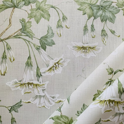 Colefax fowler curtain - colefax,