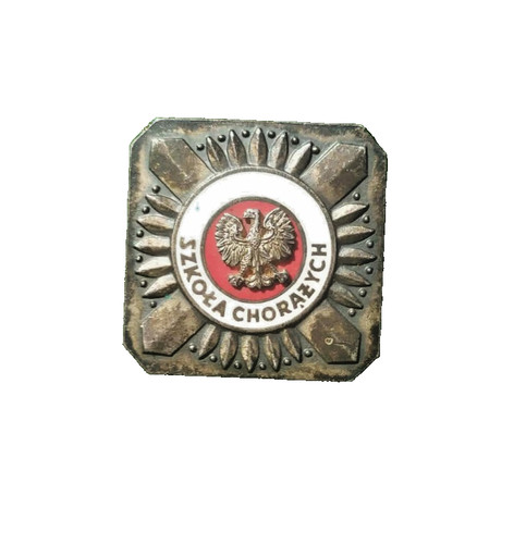 Polish army badge - polish,