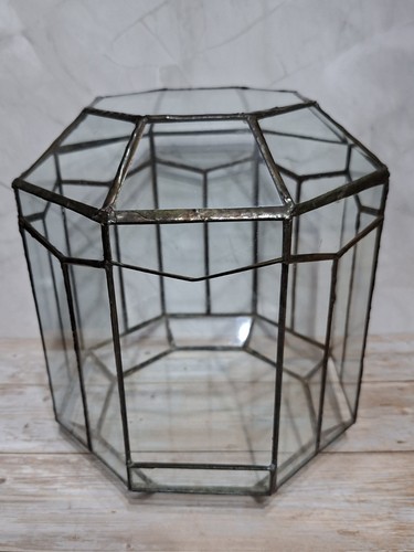 Vintage octagonal terrarium - vintage, 8"