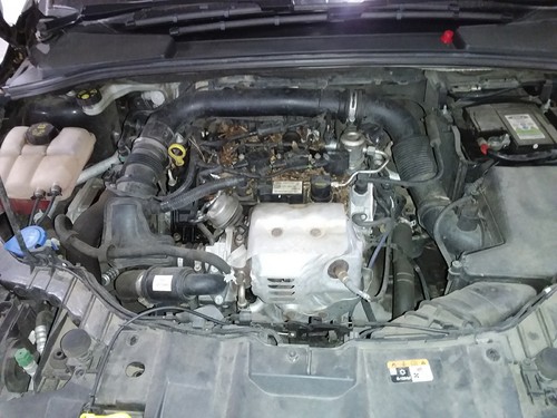 Engine ecu ford focus - ecu, fl