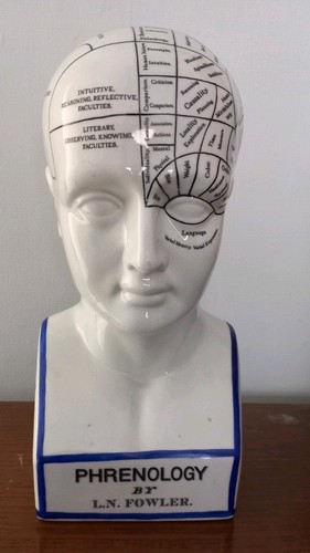 Phrenology head fowler - phrenology, l.n.