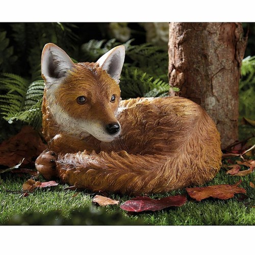Curled fox garden - curled,