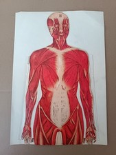 Set of 4 antique pop-out