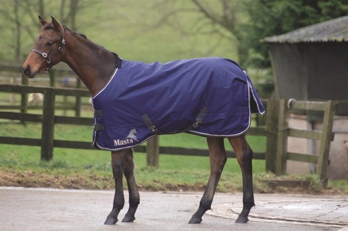 Masta avante 170g foal turnout - 170g,