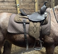 Bighorn 246 Western Saddle