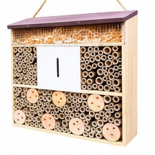 Large Insect House Butterfly