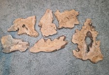 Live Edge Olive Wood Slab