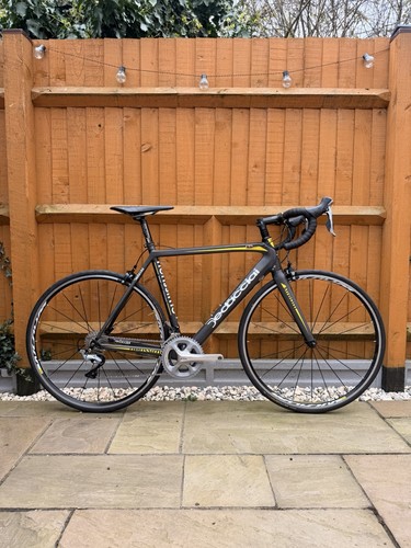 Dedacciai assoluto carbon road - assoluto,