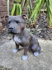 Staffordshire Brindle Staffie