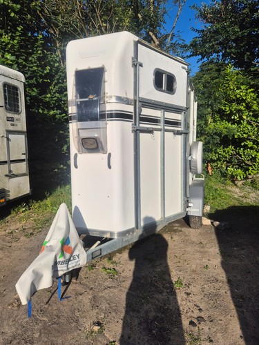 Bateson deauville horse - bateson,
