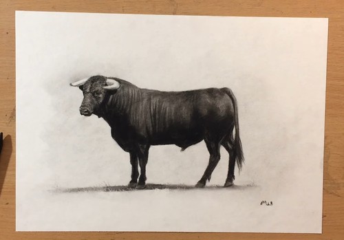 Majestic bull original - majestic,