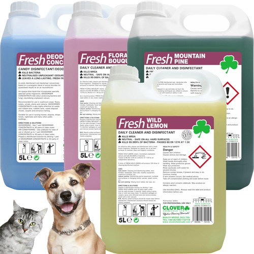 Cattery kennel cleaning - kennel,