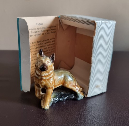 Wade whimsie alsatian gsd - alsatian,