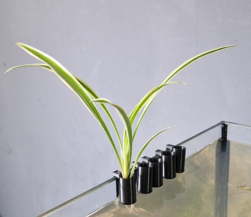 Aquarium plant hangers - 5x,