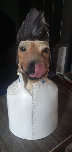 Elvis presley hound - elvis, dog"