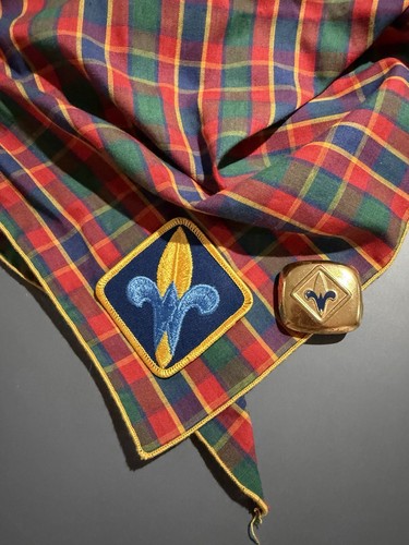 Boy cub scout webelo plaid - boy,