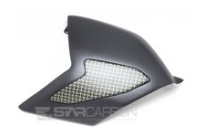 CARBON FIBER SWINGARM COVER - CARBON/KEVLAR DUCATI SBK PANIGALE V4 V4S V4R