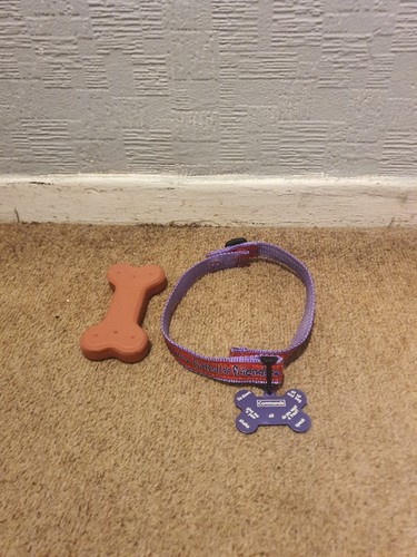 Furreal friends biscuit - friends,