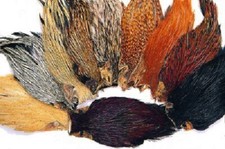 Indian Cock Capes Various