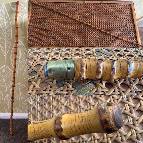 Antique cane walking or - walking,