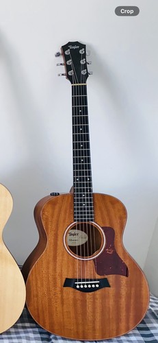 Taylor mini es2 - gs, mini-e